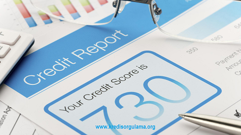 kredi notu anlamı